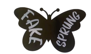 Fake Sprung Custom Jogger Set